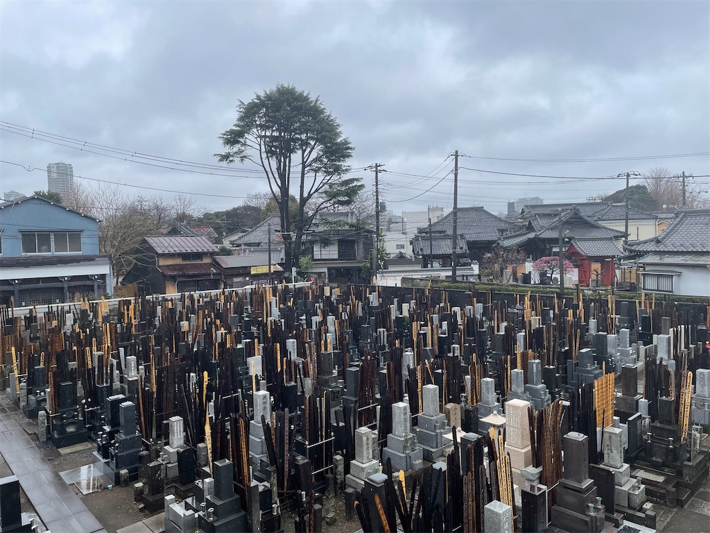 f:id:TokuheiKumagai:20250303121632j:image