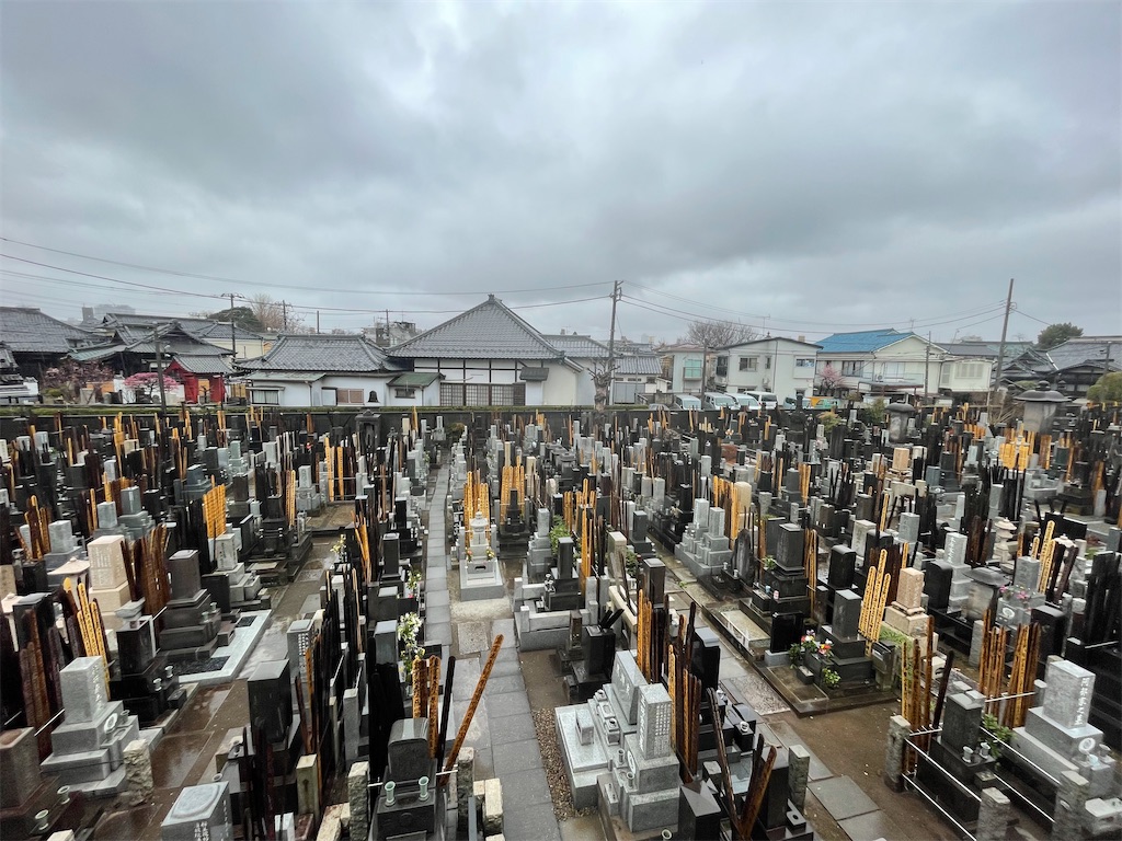 f:id:TokuheiKumagai:20250303121638j:image