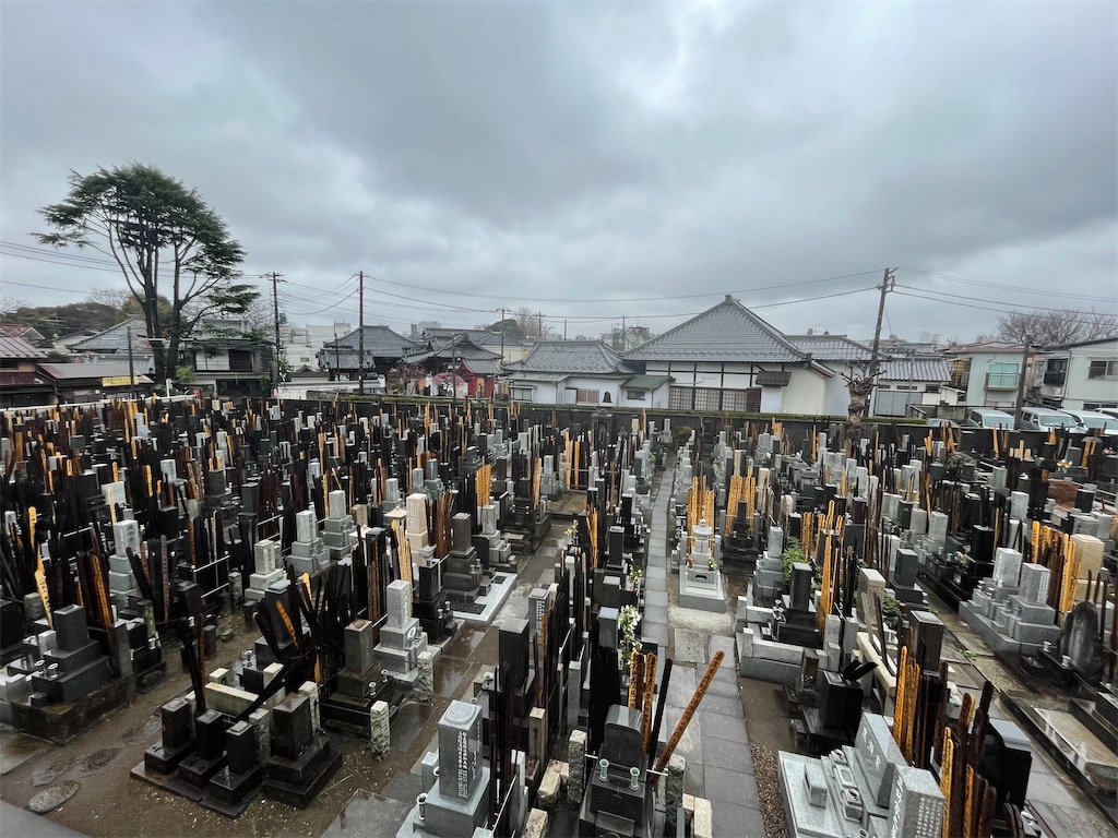 f:id:TokuheiKumagai:20250303121643j:image
