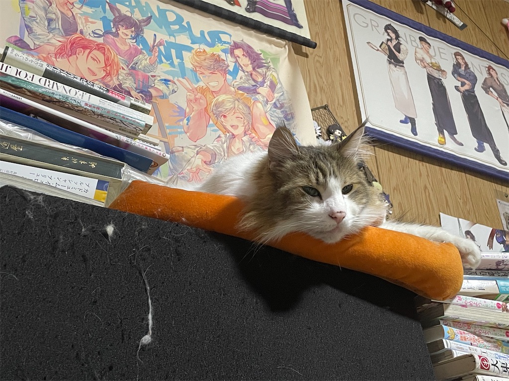 f:id:TokuheiKumagai:20250303200549j:image