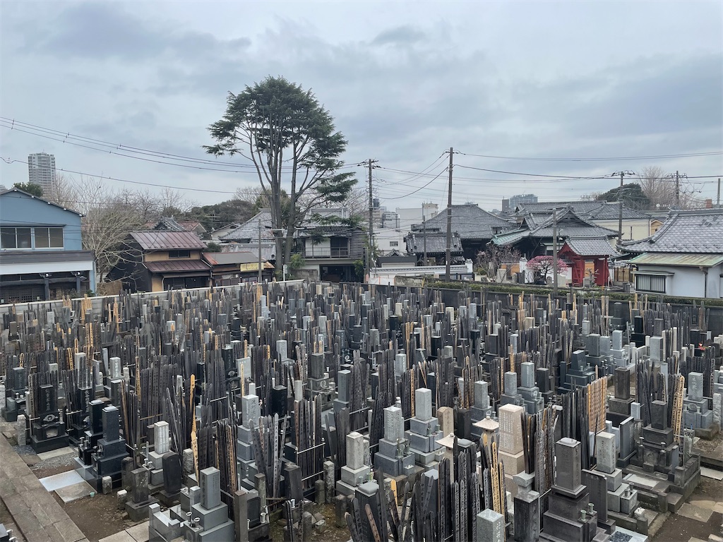f:id:TokuheiKumagai:20250304190503j:image