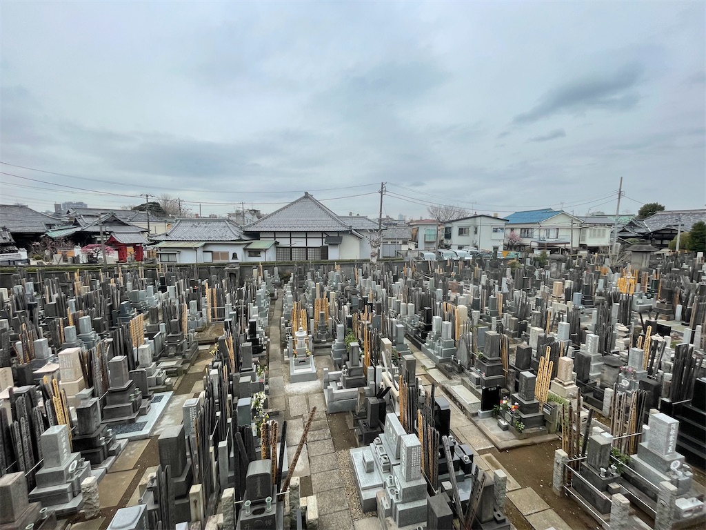 f:id:TokuheiKumagai:20250304190520j:image