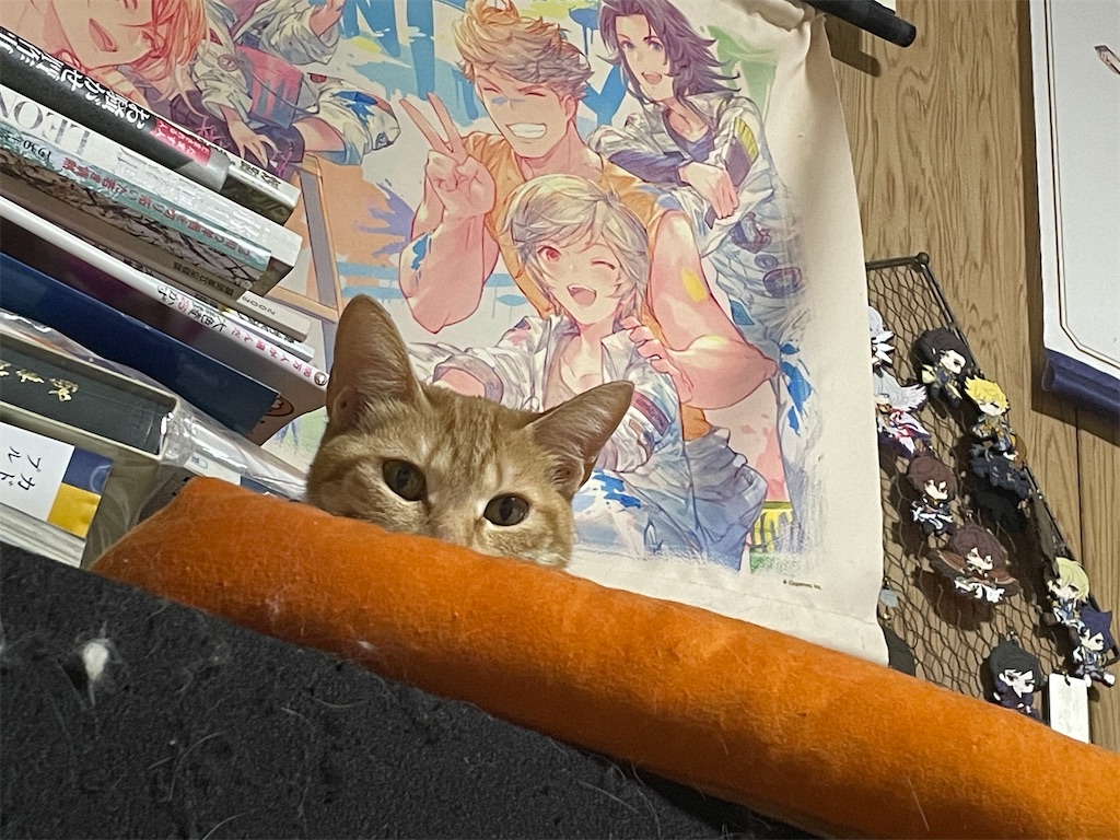f:id:TokuheiKumagai:20250305161101j:image