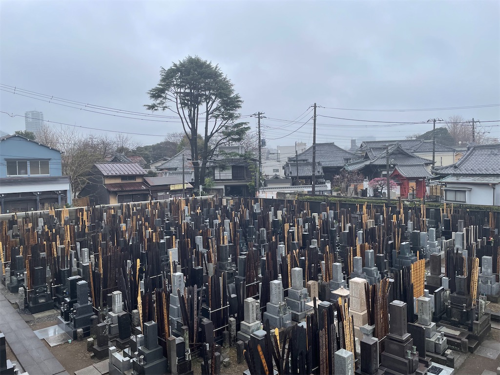 f:id:TokuheiKumagai:20250305161218j:image