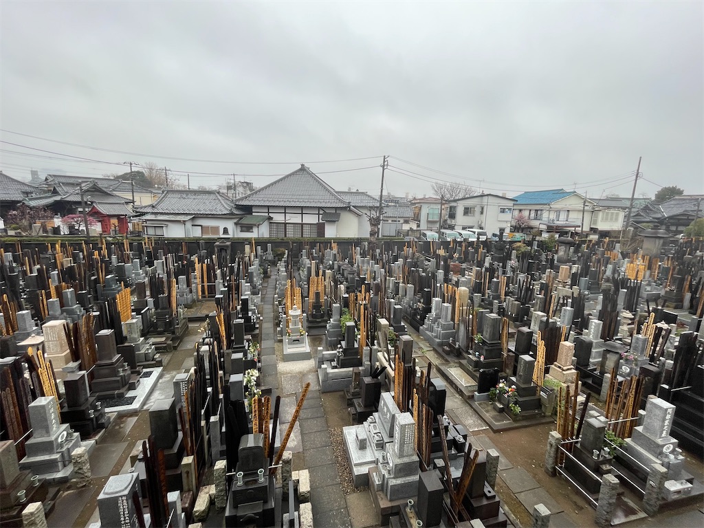 f:id:TokuheiKumagai:20250305161222j:image
