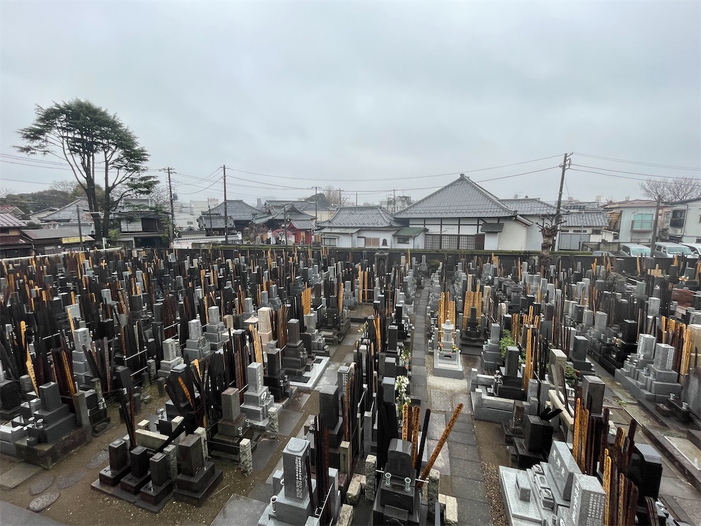 f:id:TokuheiKumagai:20250305161226j:image