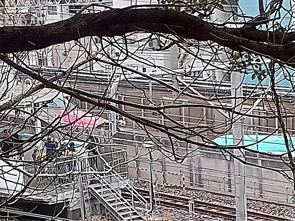 f:id:TokuheiKumagai:20250306144754j:image