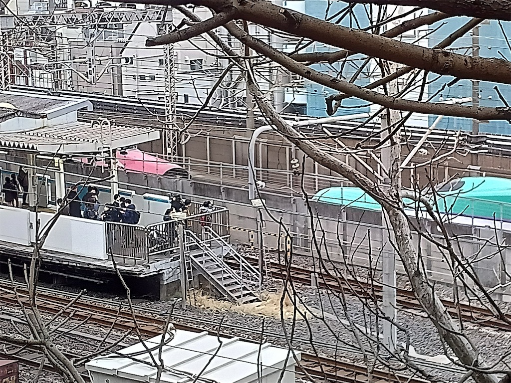 f:id:TokuheiKumagai:20250306144758j:image