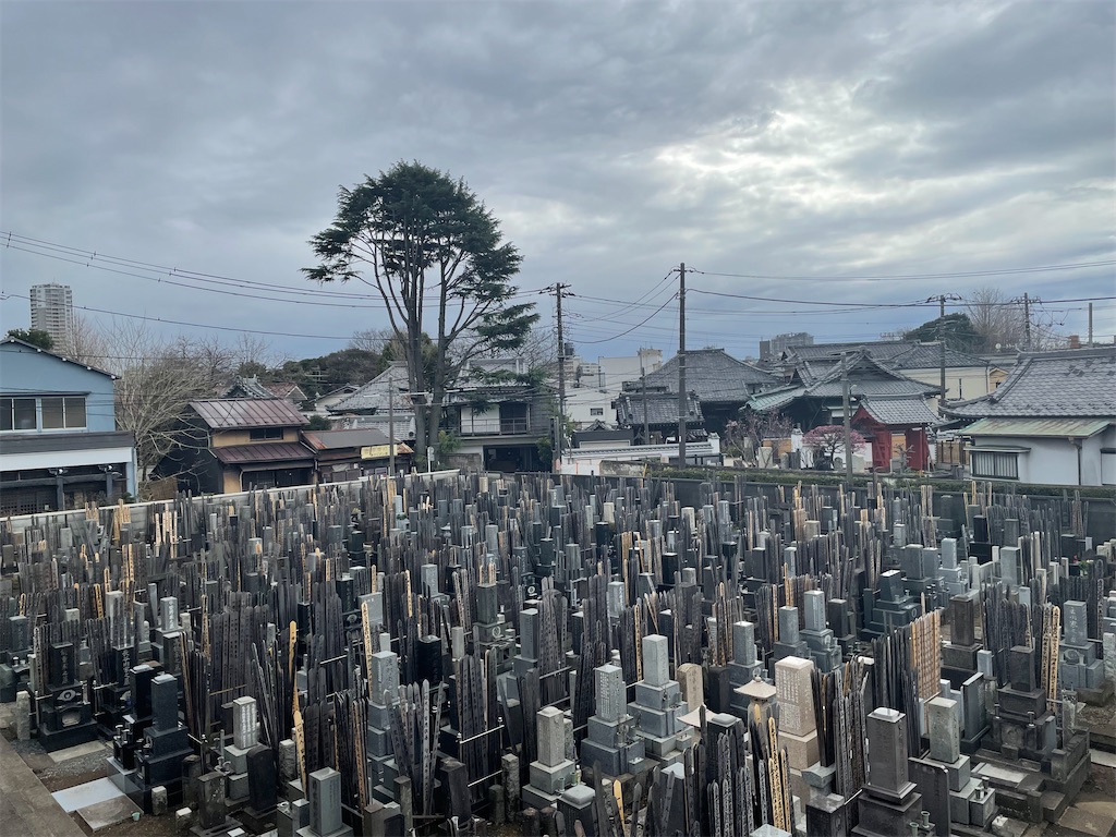 f:id:TokuheiKumagai:20250306150759j:image