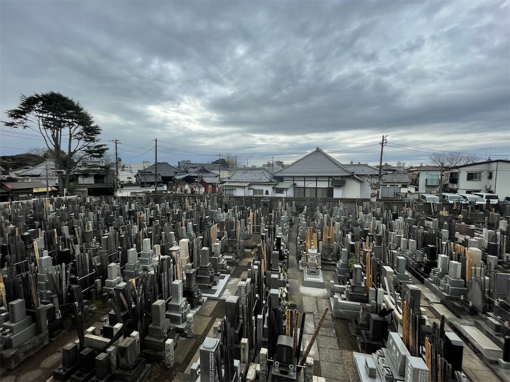 f:id:TokuheiKumagai:20250306150805j:image