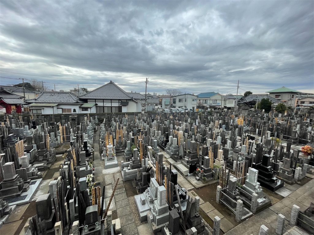 f:id:TokuheiKumagai:20250306150810j:image