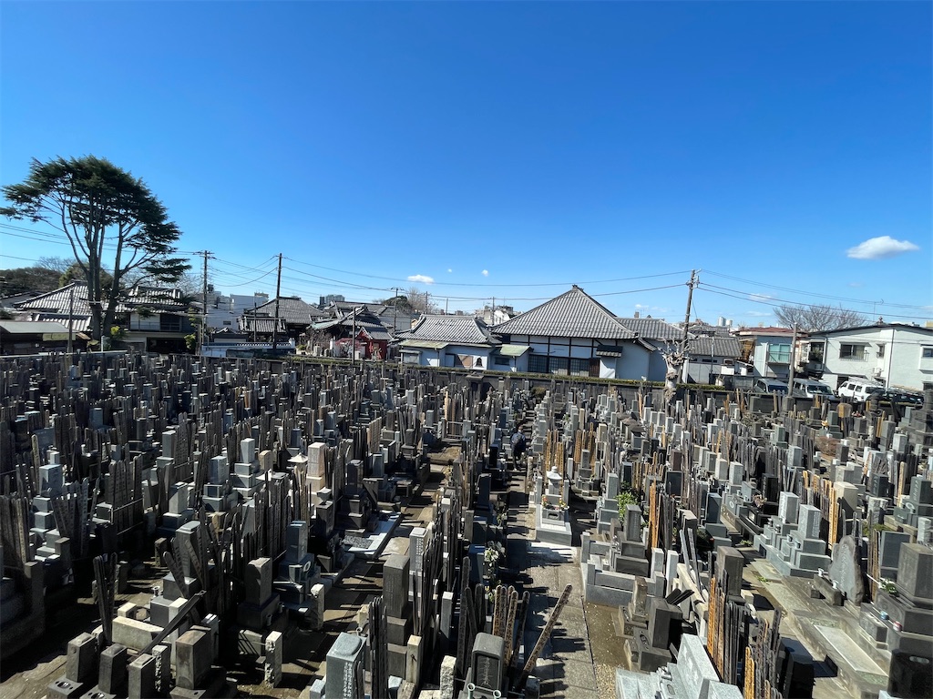 f:id:TokuheiKumagai:20250307104026j:image