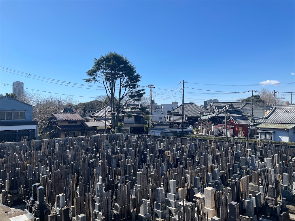 f:id:TokuheiKumagai:20250307104030j:image