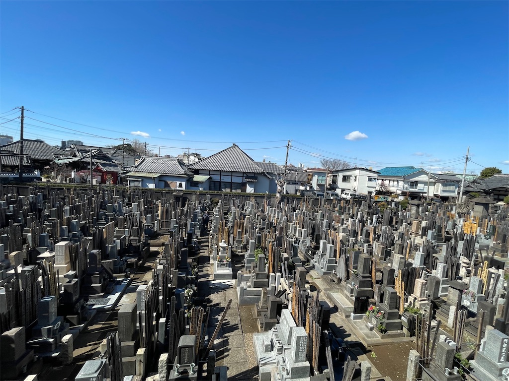 f:id:TokuheiKumagai:20250307104036j:image