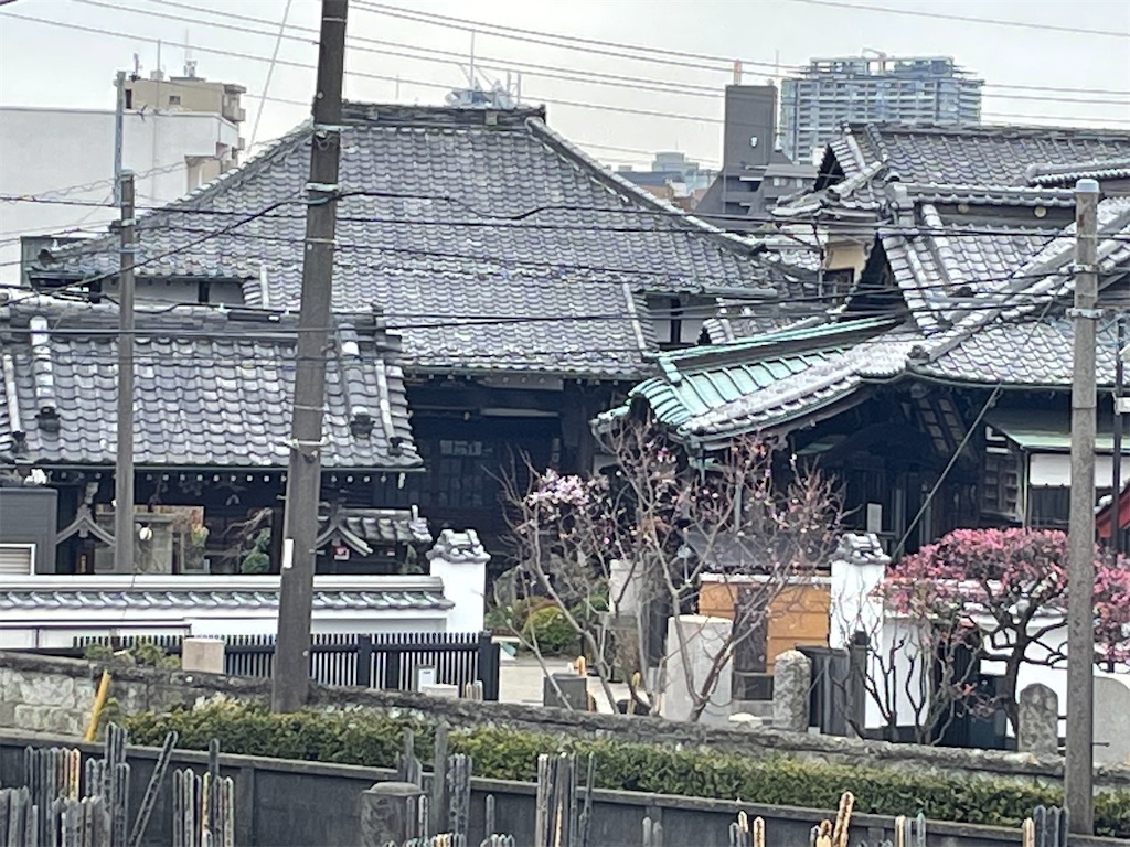 f:id:TokuheiKumagai:20250308103541j:image