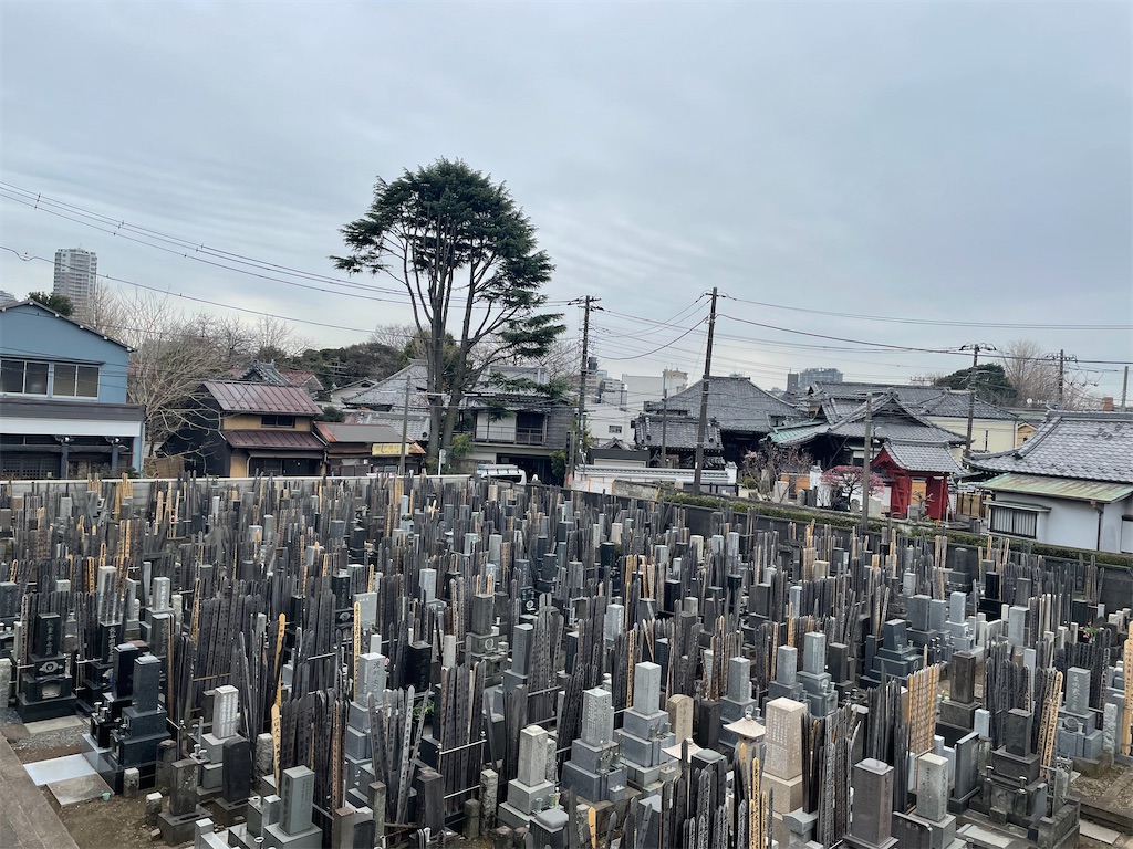 f:id:TokuheiKumagai:20250308103545j:image