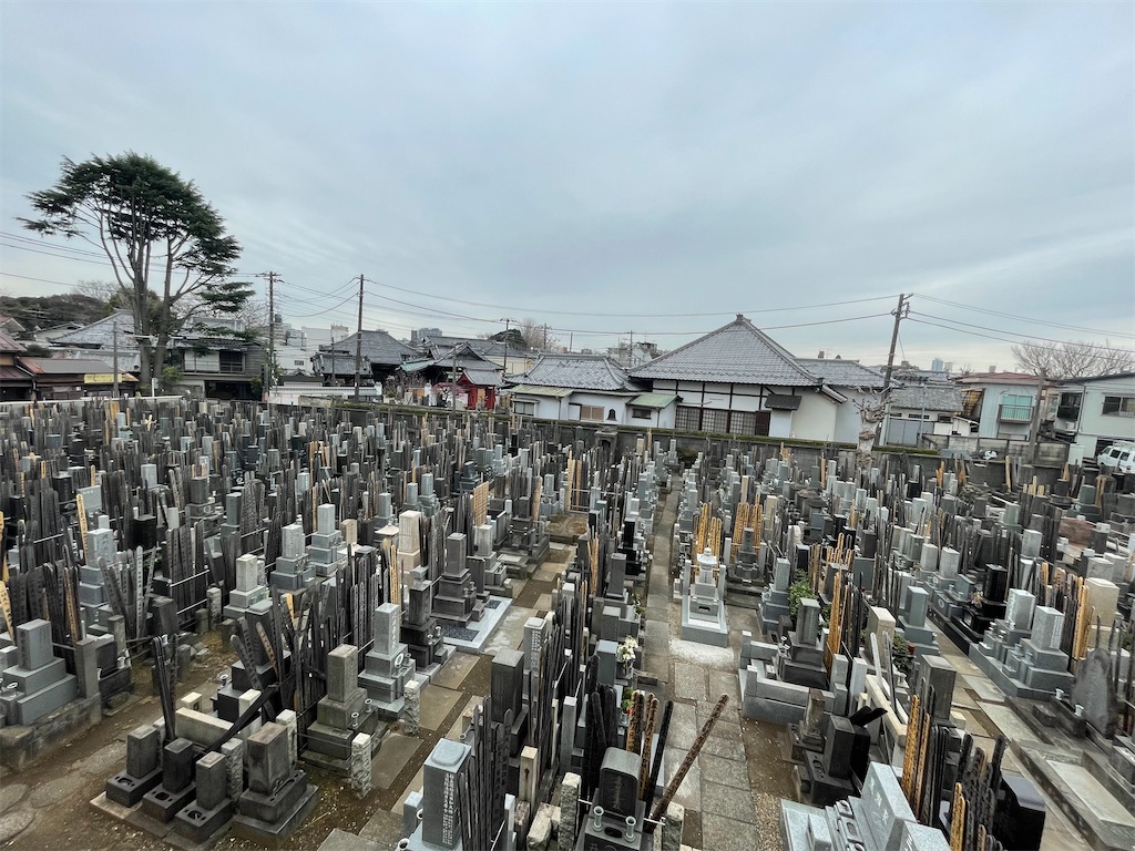 f:id:TokuheiKumagai:20250308103549j:image