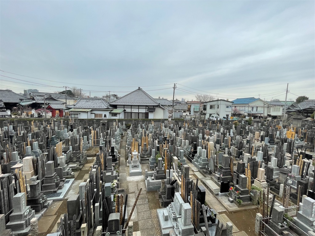 f:id:TokuheiKumagai:20250308103552j:image