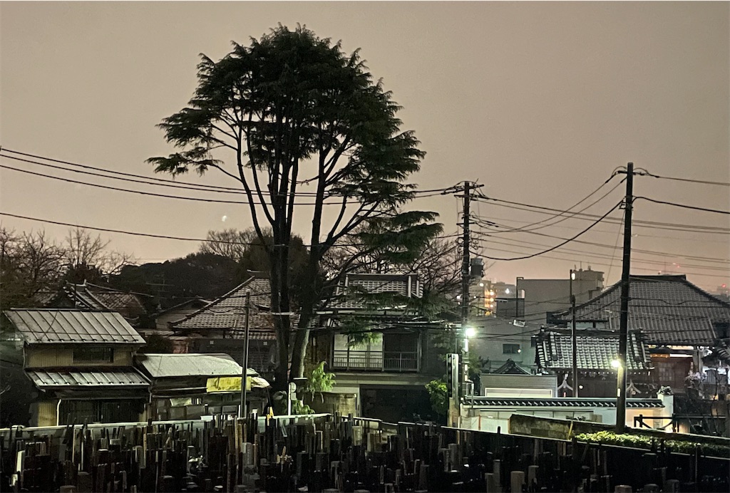 f:id:TokuheiKumagai:20250308224149j:image