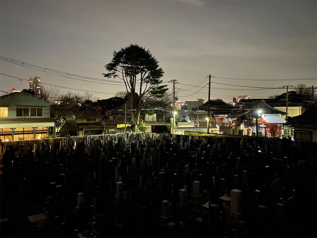 f:id:TokuheiKumagai:20250310192808j:image