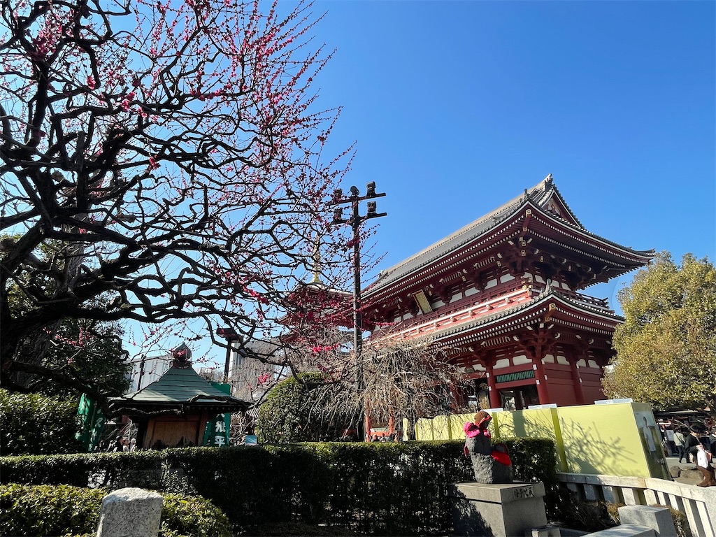 f:id:TokuheiKumagai:20250310192816j:image