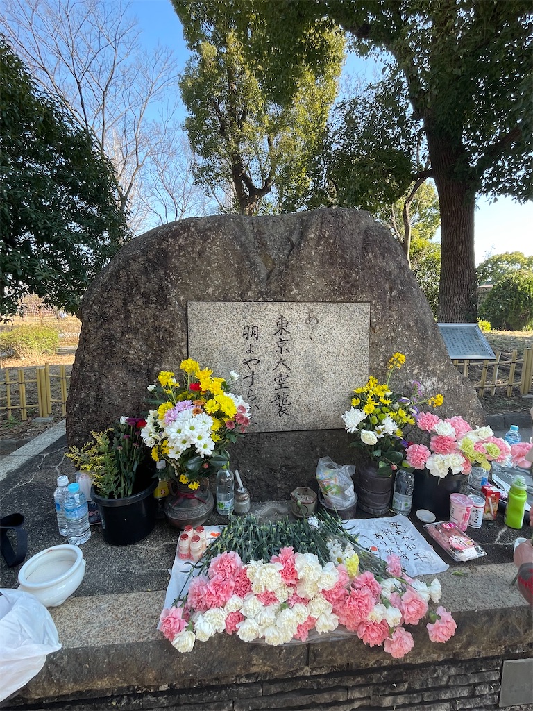 f:id:TokuheiKumagai:20250310192826j:image