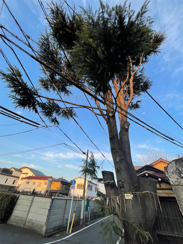 f:id:TokuheiKumagai:20250310193027j:image