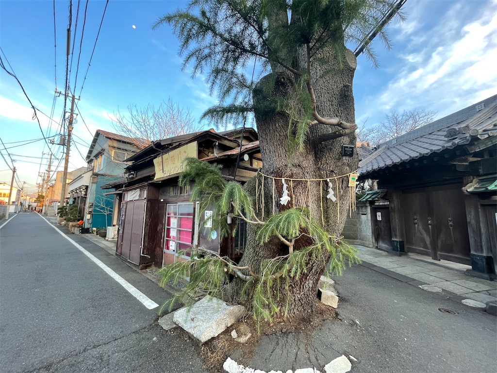 f:id:TokuheiKumagai:20250310193038j:image