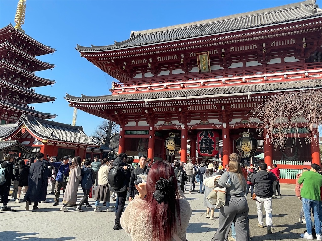 f:id:TokuheiKumagai:20250311114419j:image