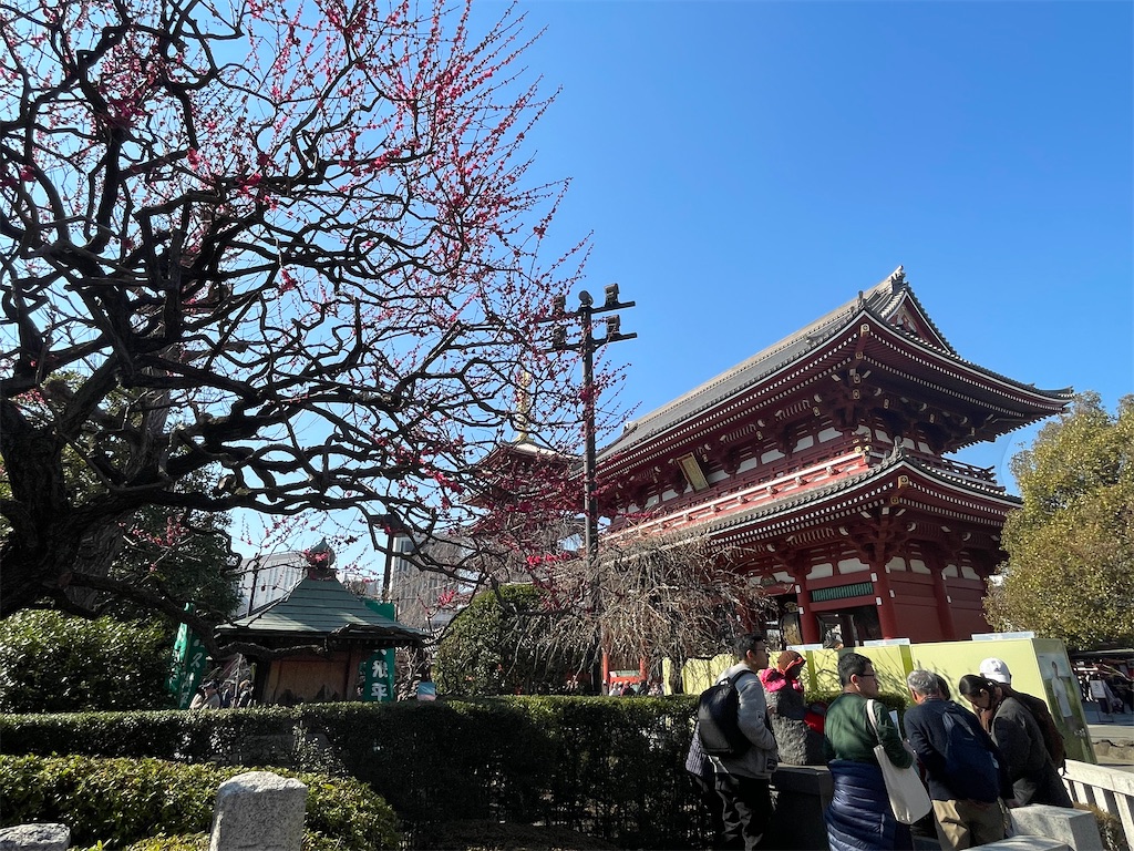 f:id:TokuheiKumagai:20250311114435j:image