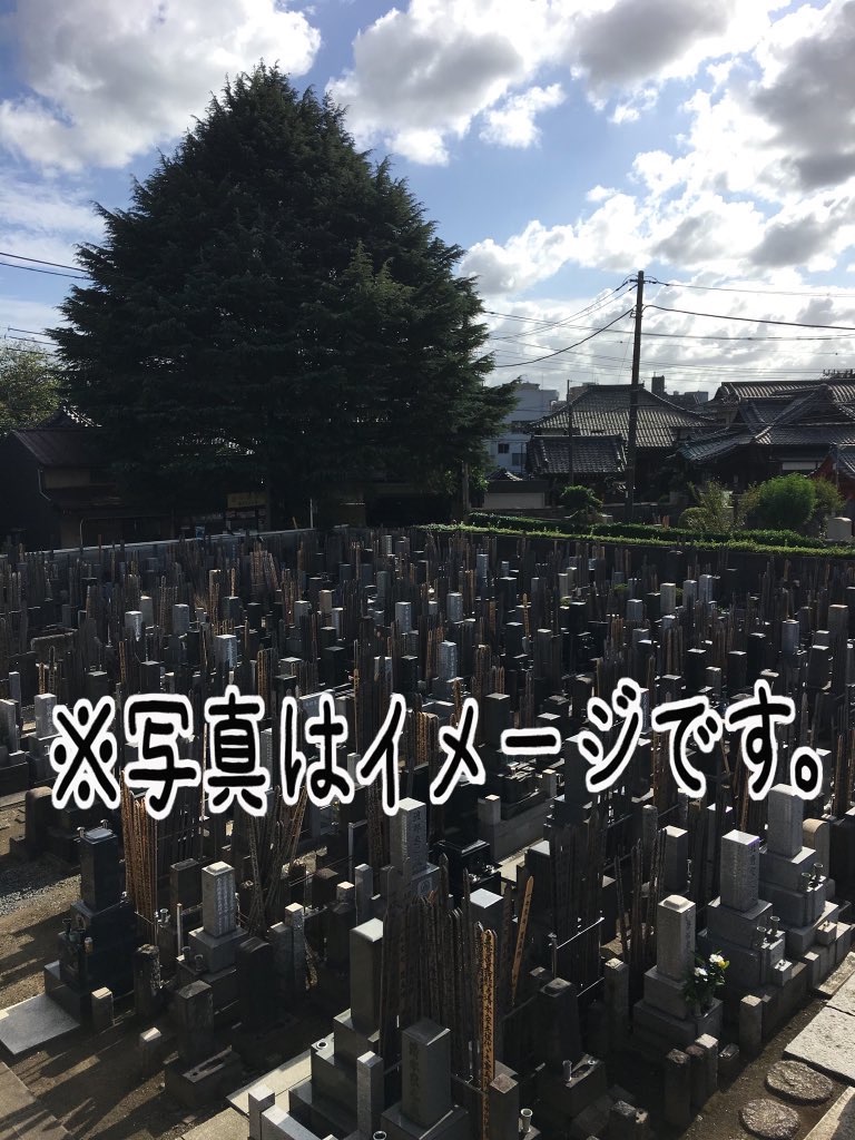 f:id:TokuheiKumagai:20250311152908j:image