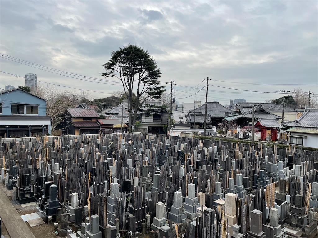 f:id:TokuheiKumagai:20250311152911j:image