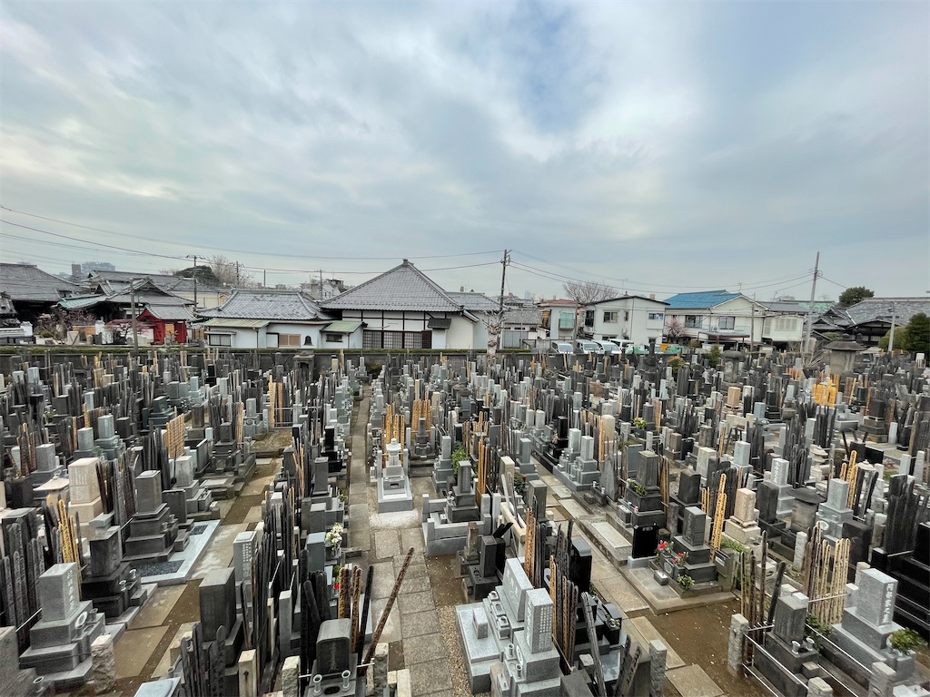 f:id:TokuheiKumagai:20250311152915j:image