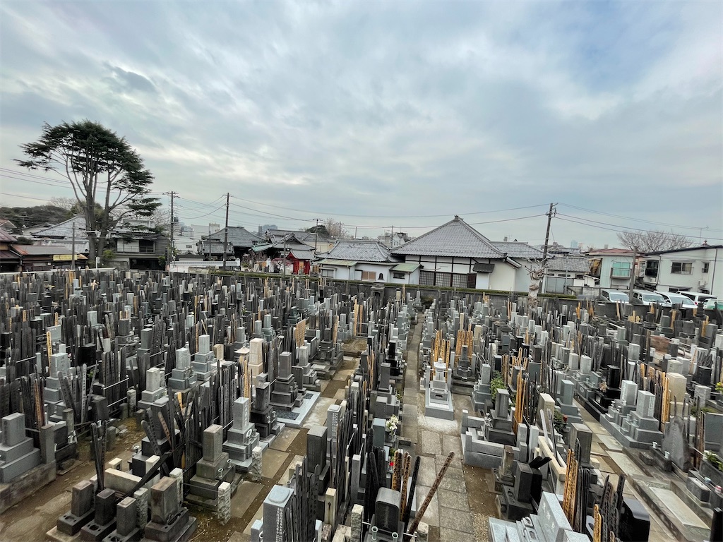 f:id:TokuheiKumagai:20250311152919j:image