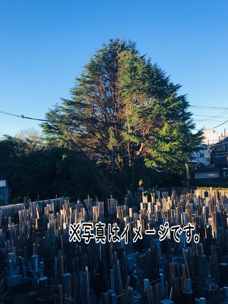 f:id:TokuheiKumagai:20250311152929j:image