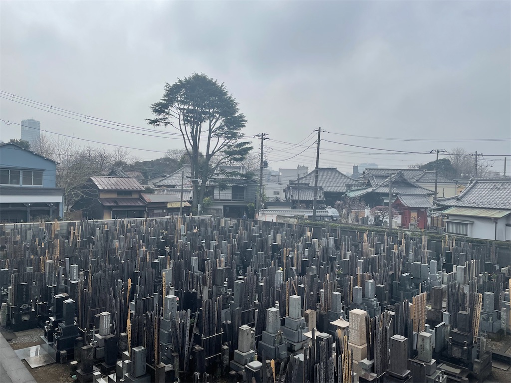 f:id:TokuheiKumagai:20250312123142j:image