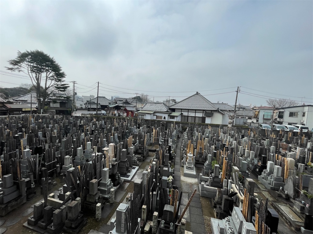 f:id:TokuheiKumagai:20250312123147j:image