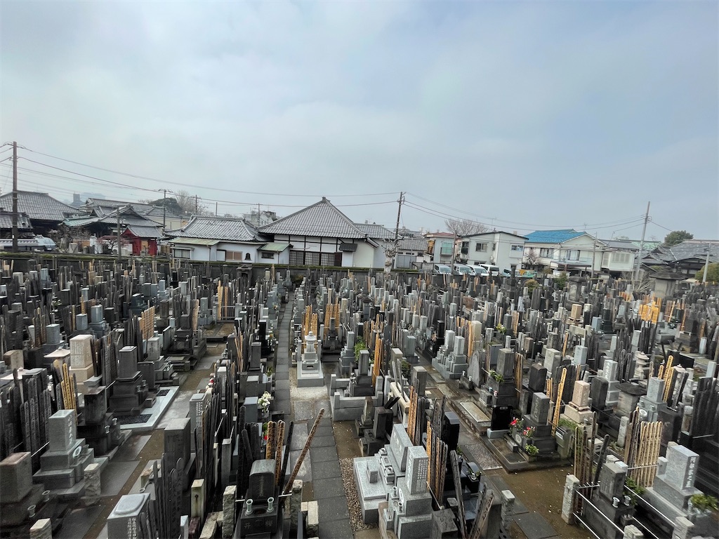 f:id:TokuheiKumagai:20250312123153j:image