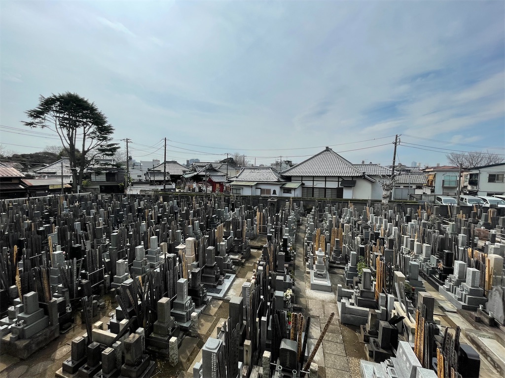 f:id:TokuheiKumagai:20250313132946j:image