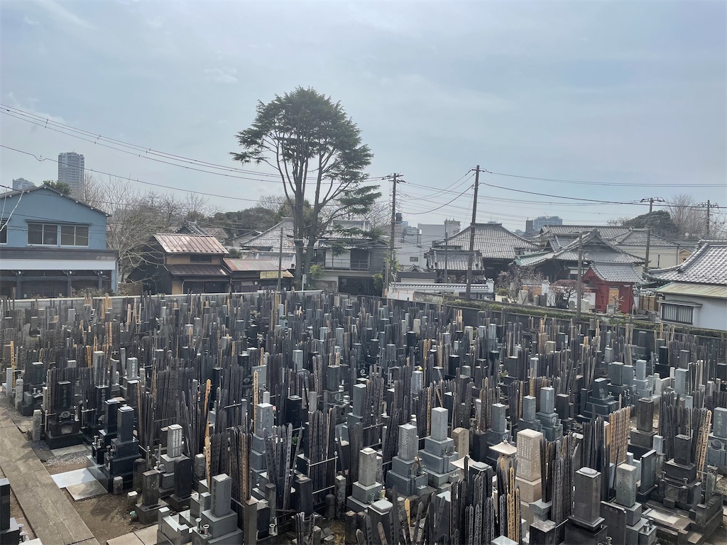 f:id:TokuheiKumagai:20250313132950j:image