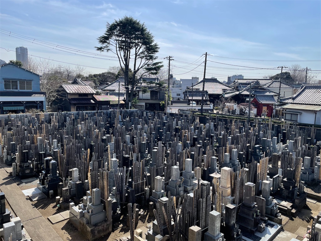 f:id:TokuheiKumagai:20250314174842j:image