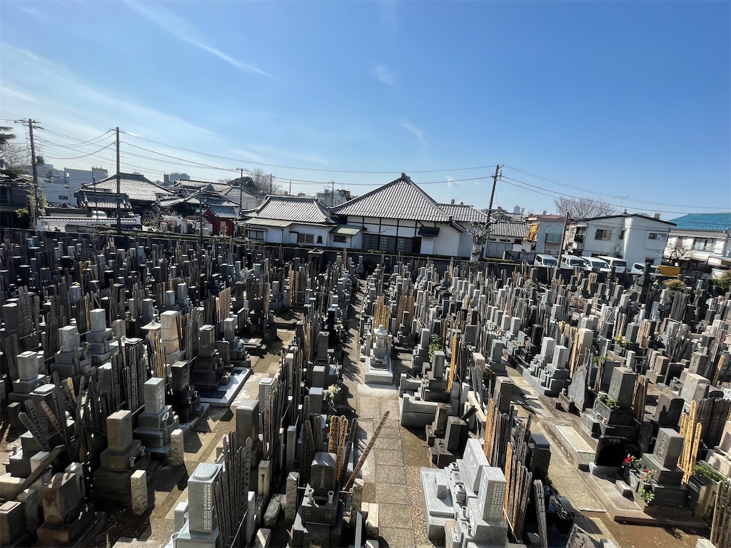 f:id:TokuheiKumagai:20250314174852j:image