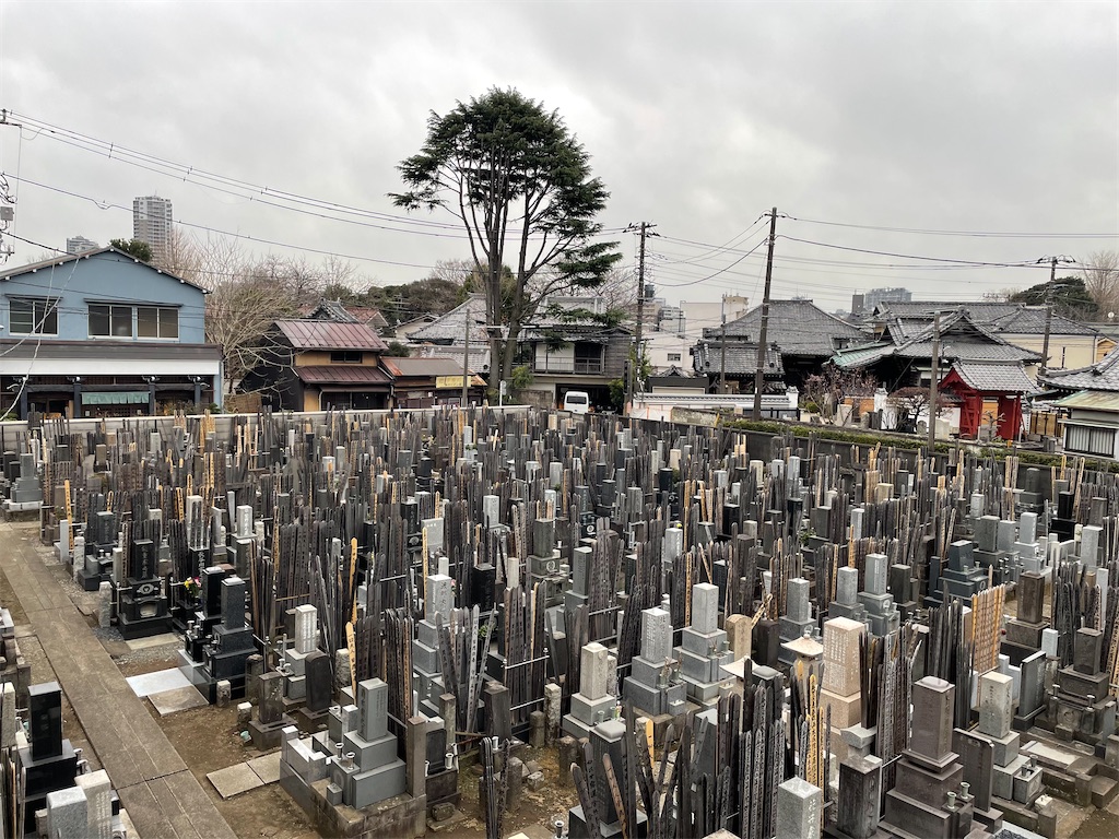f:id:TokuheiKumagai:20250315164727j:image