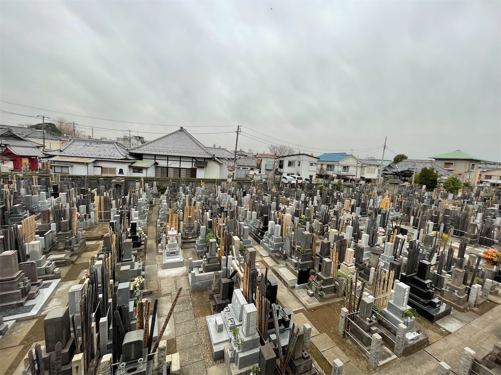 f:id:TokuheiKumagai:20250315164731j:image