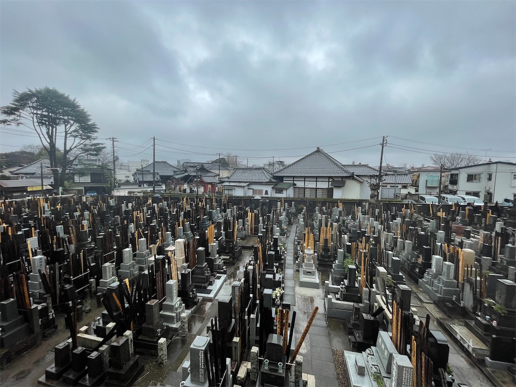 f:id:TokuheiKumagai:20250316140041j:image