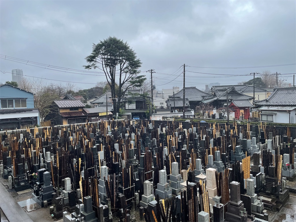 f:id:TokuheiKumagai:20250316140045j:image