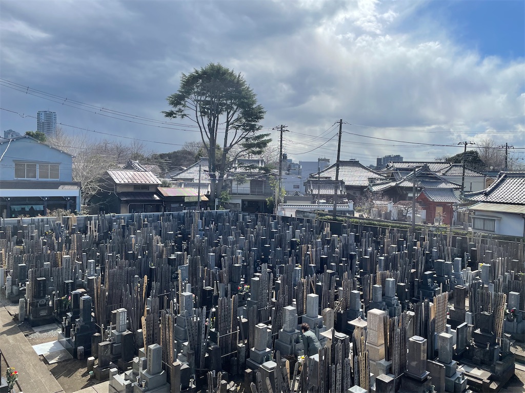 f:id:TokuheiKumagai:20250317134120j:image