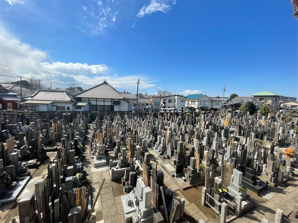 f:id:TokuheiKumagai:20250317134126j:image