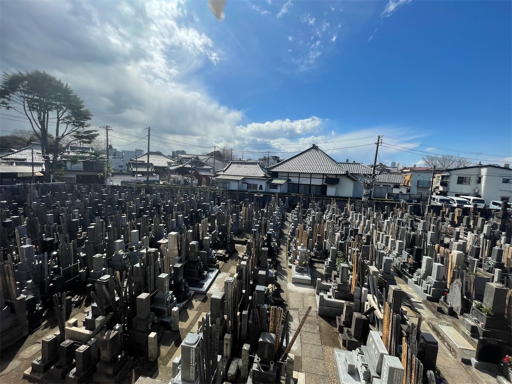 f:id:TokuheiKumagai:20250317134132j:image