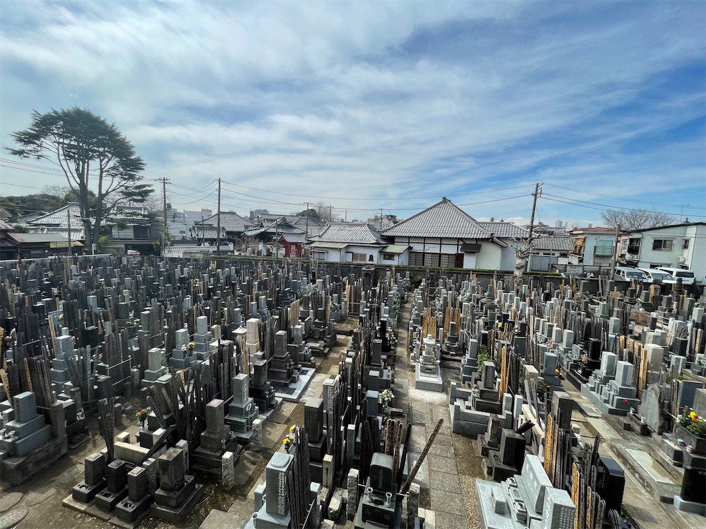f:id:TokuheiKumagai:20250318132036j:image